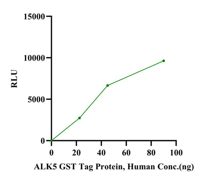 ALK5 GST Tag Protein, Human