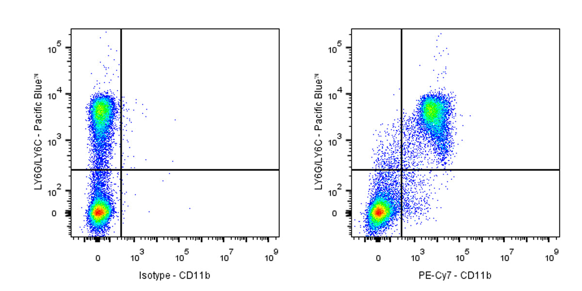 PE-Cy7 Rat Anti-Mouse/Human CD11b Antibody (M1/70)