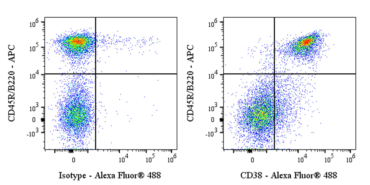 Alexa Fluor® 488 Rat Anti-Mouse CD38 Antibody (S-3262)