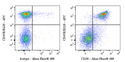 Alexa Fluor® 488 Rat Anti-Mouse CD38 Antibody (S-3262)