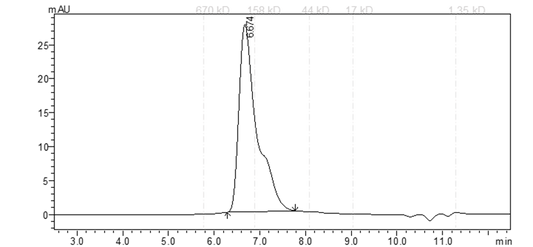 TRKB(NTRK2) Protein