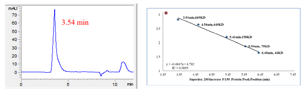 USP32 Protein