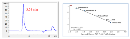 USP32 Protein