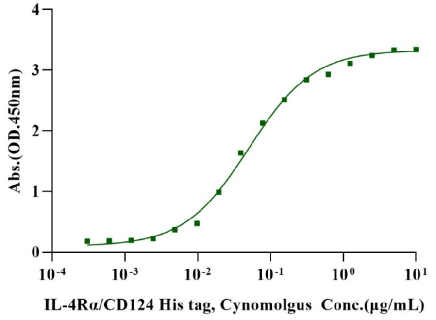 IL-4 Protein, Human