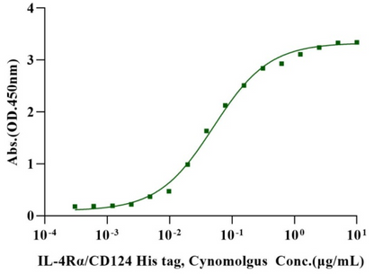 IL-4 Protein, Human