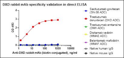 Monoclonal Anti-Dxd/Exatecan Antibody