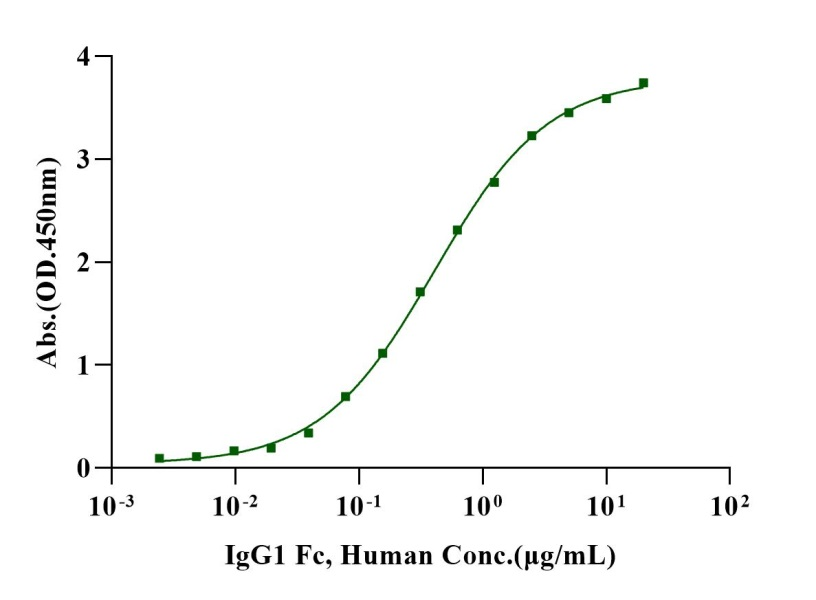 Biotinylated Fc γ RIIa/CD32a(H167) Avi&His Tag Protein, Human