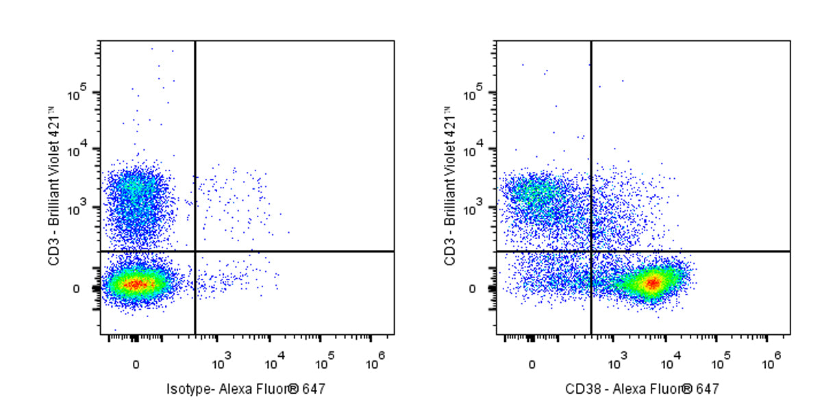 Alexa Fluor® 647 Rat Anti-Mouse CD38 Antibody (90)