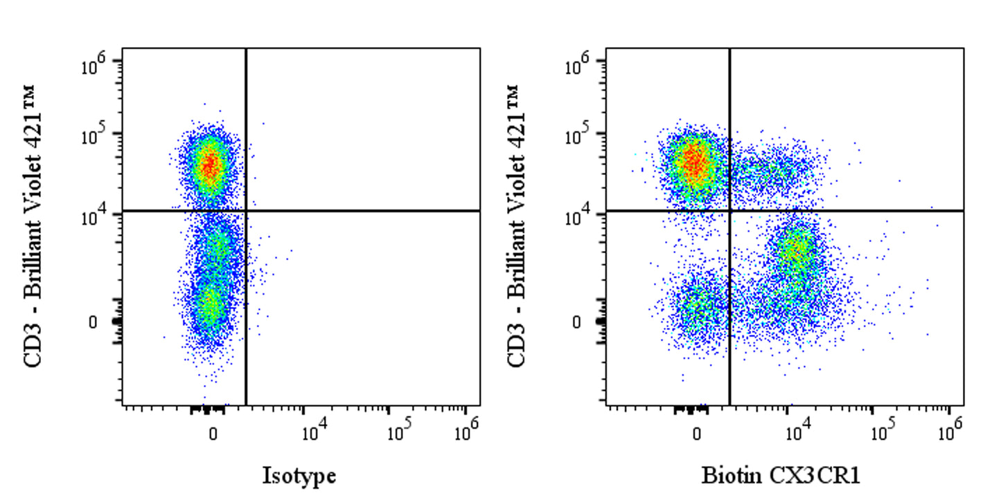 Biotin Rat Anti-Human CX3CR1 Antibody (2A9-1)