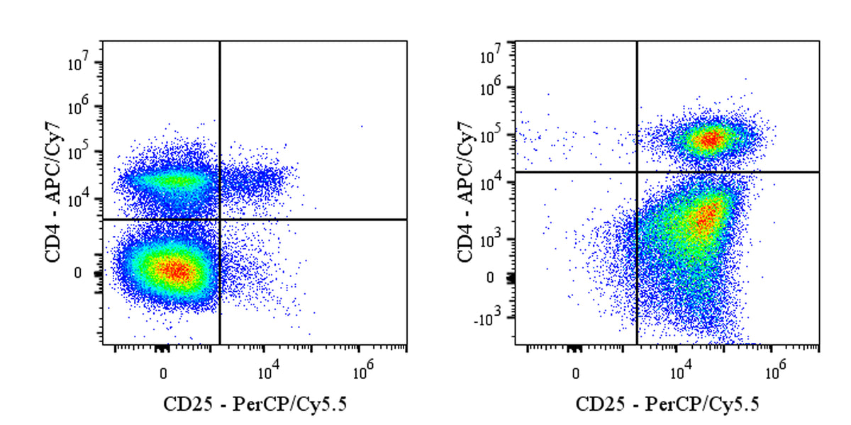 PerCP-Cy5.5 Mouse Anti-Rat CD25 Antibody (OX-39)