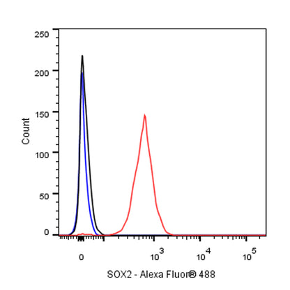 SOX2 Recombinant Rabbit mAb(SDT-066-58)
