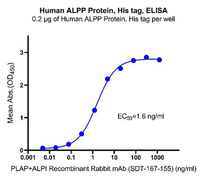 Human ALPP Protein, His tag