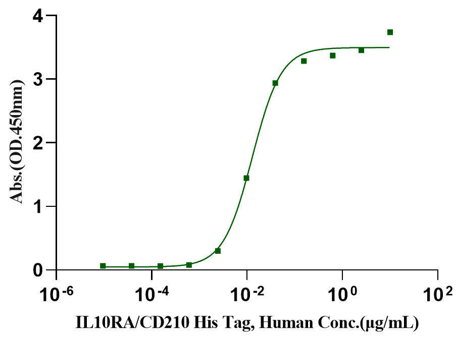 IL-10 Protein, Porcine