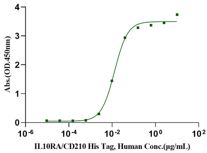 IL-10 Protein, Porcine