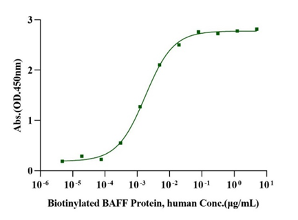 TACI/CD267/TNFRSF13B Fc Chimera Protein, Human