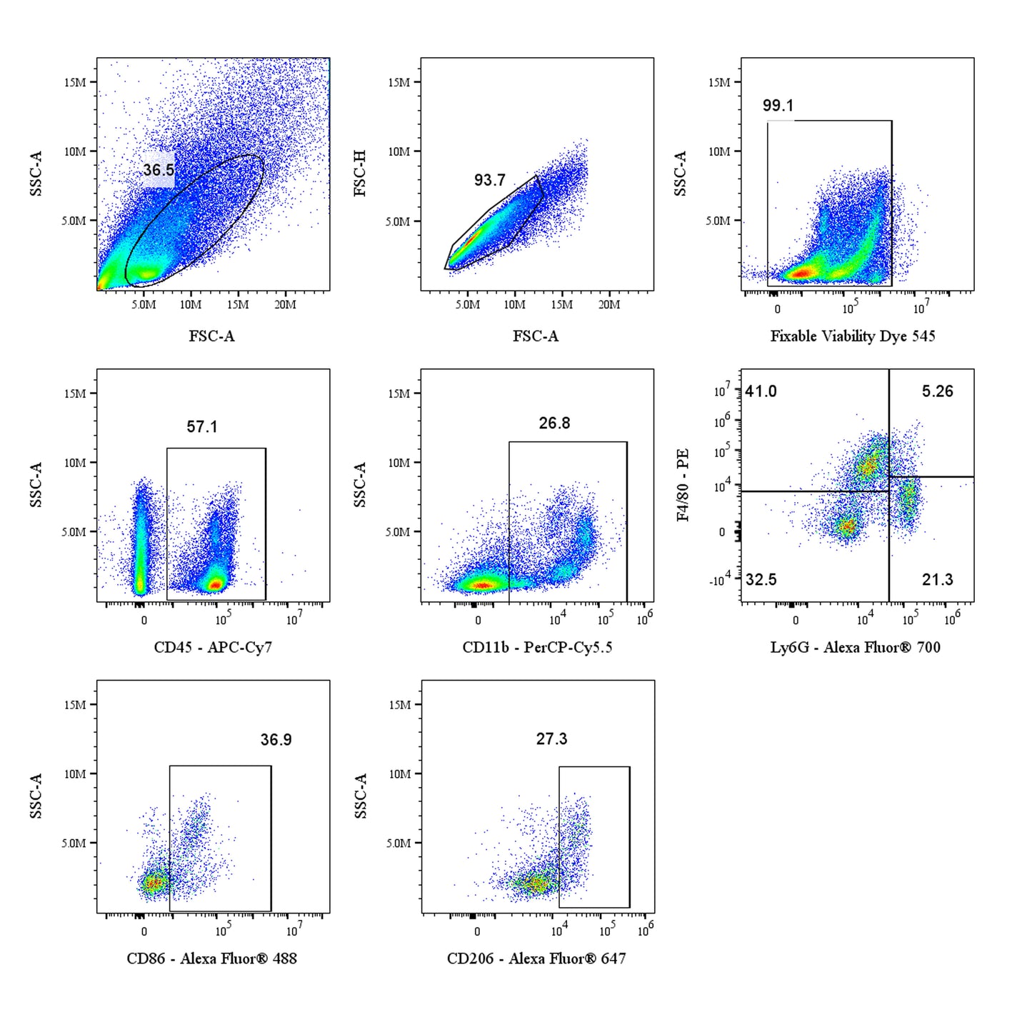 Mouse MacroPhage Panel Kit (CD45/CD11b/F4/80/Ly6G/CD206/CD86)