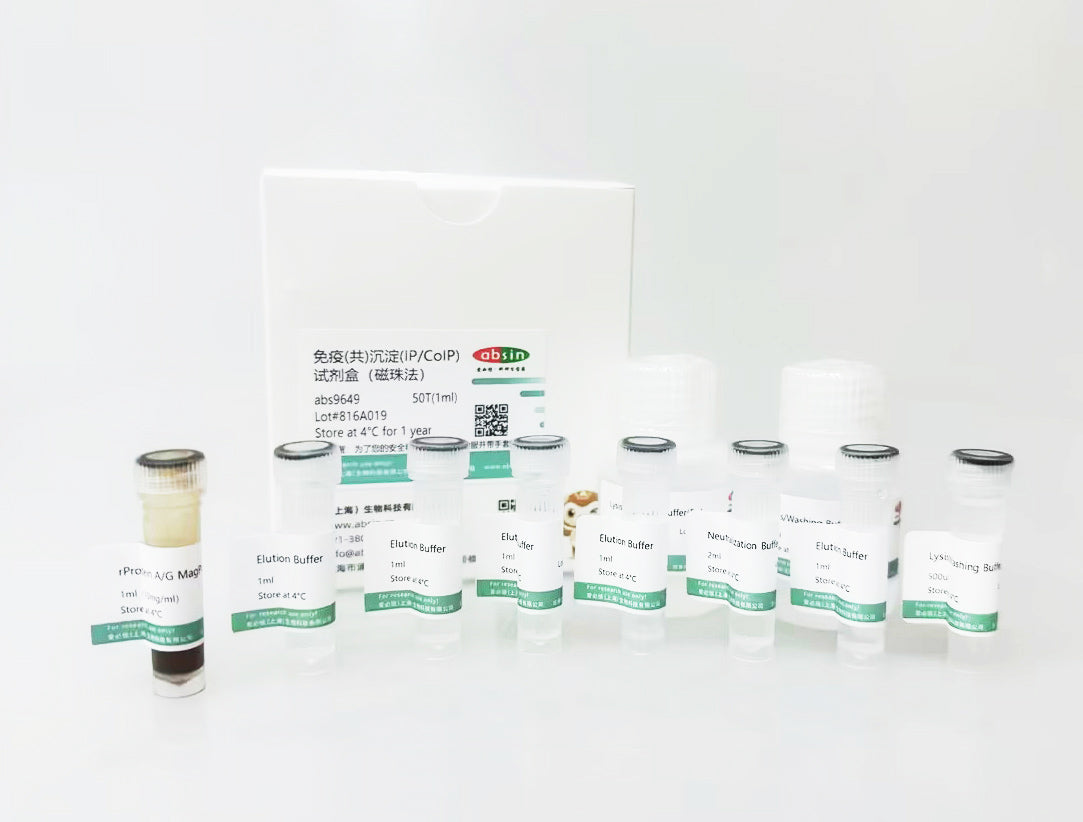 Protein A/G Magnetic IP/Co-IP Kit
