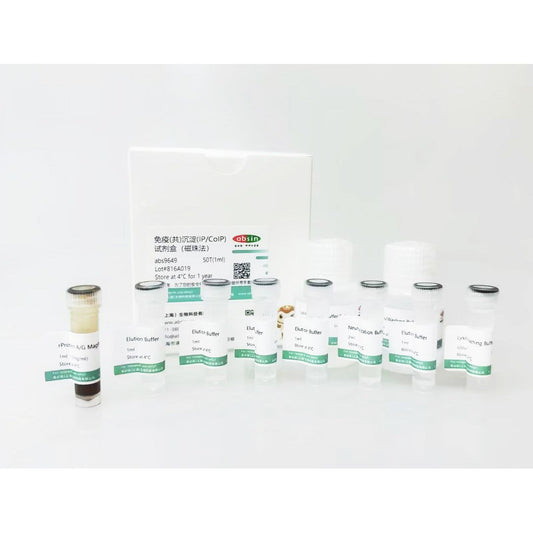 Product image media