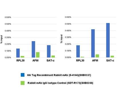 HA Tag Recombinant Rabbit mAb (S-4144)