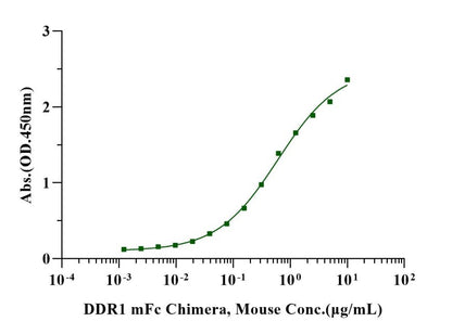 DDR1 mFc Chimera Protein, Mouse