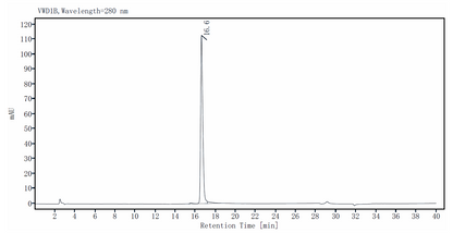 IL-7 Protein, Human