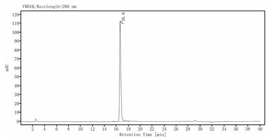 IL-7 Protein, Human