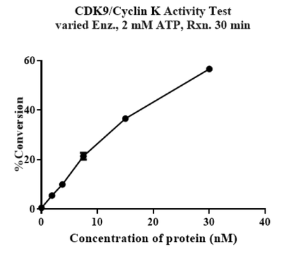 CDK9/Cyclin K Protein