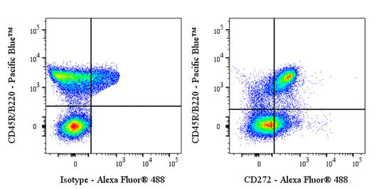 Alexa Fluor® 488 Armenian Hamster Anti-Mouse CD272 Antibody (6A6)