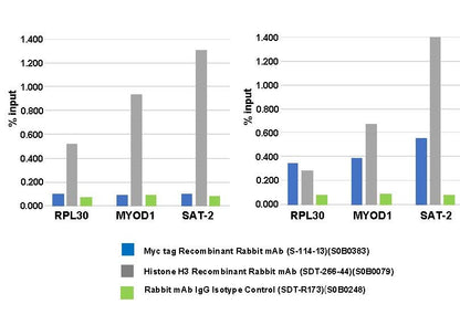 S-RMab® Myc tag Recombinant Rabbit mAb (S-114-13)