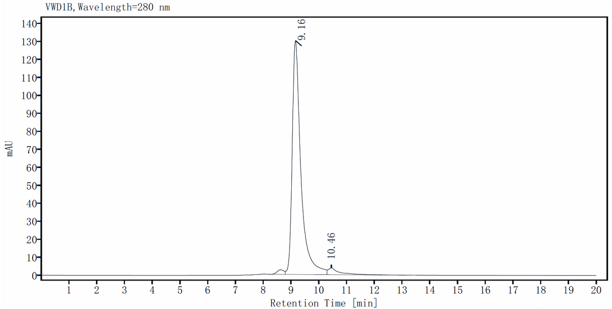 IGFBP-1 Protein, Human