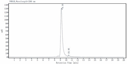 IGFBP-1 Protein, Human