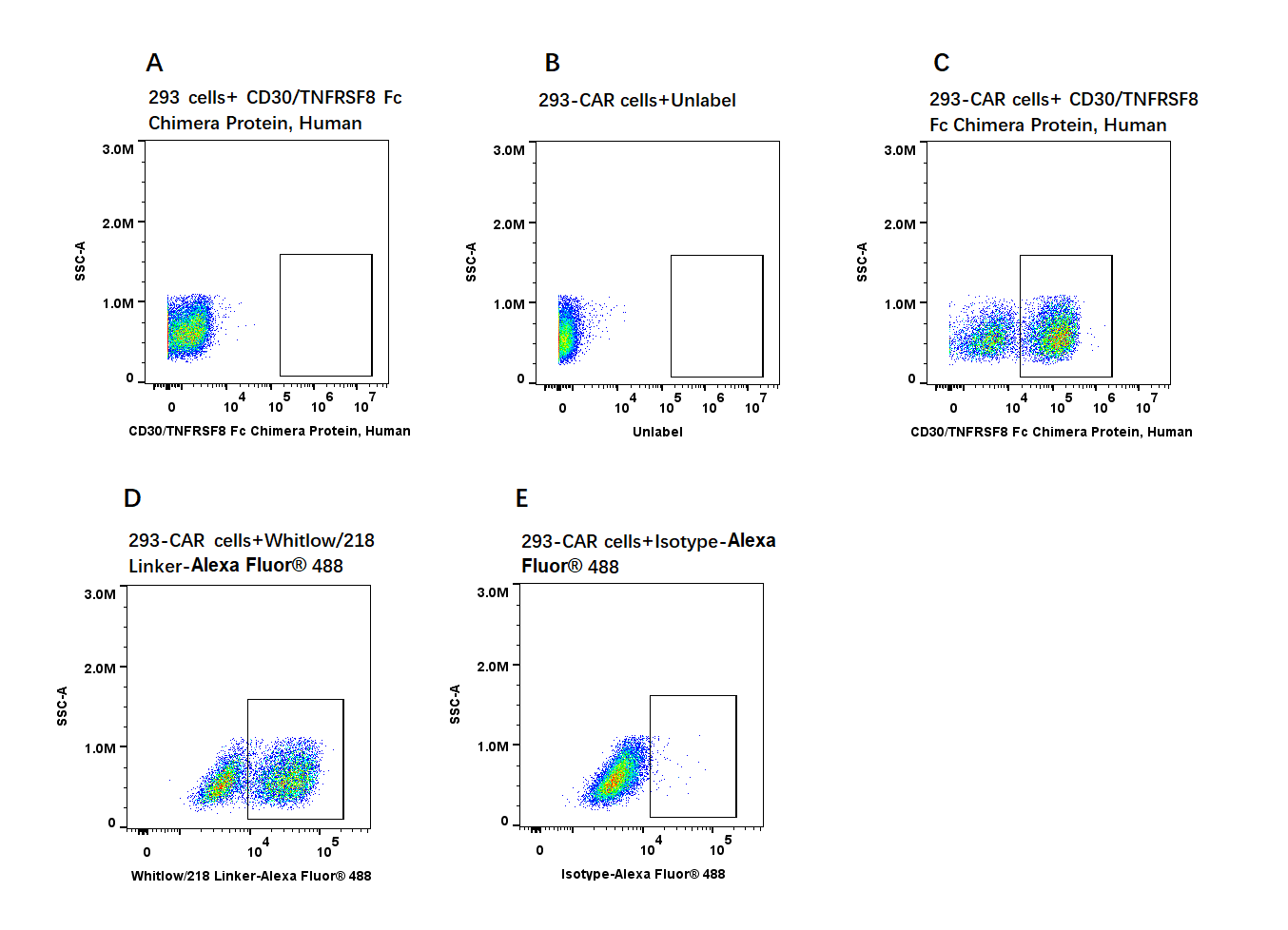 CD30/TNFRSF8 Fc Chimera Protein, Human