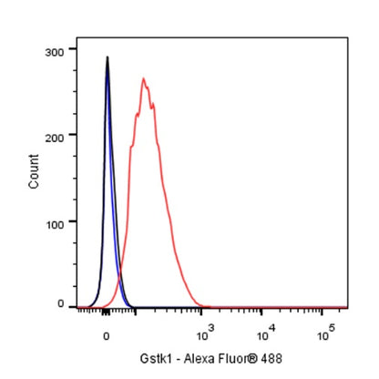 Gstk1 Recombinant Rabbit mAb (S-R341)