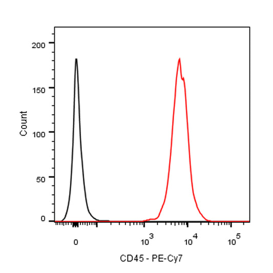 PE-Cy7 Mouse Anti-Rat CD45 Antibody (OX-1)
