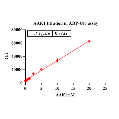 Product image media