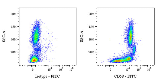 FITC Mouse Anti-Human CD58 Antibody (S-6058)