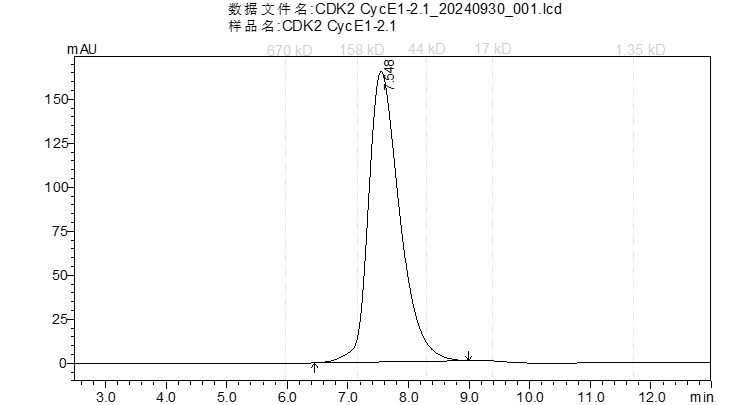 CDK2/CyclinE1 Protein,Human