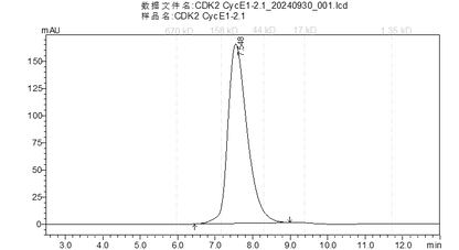 CDK2/CyclinE1 Protein,Human