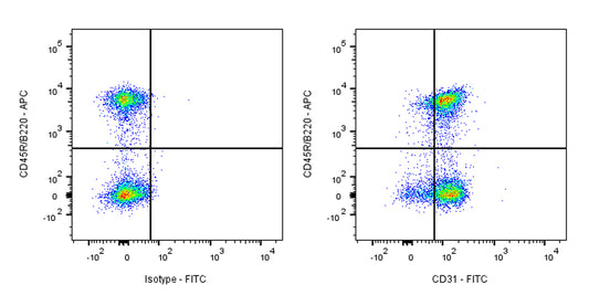 FITC Rat Anti-Mouse CD31 Antibody (MEC13.3)