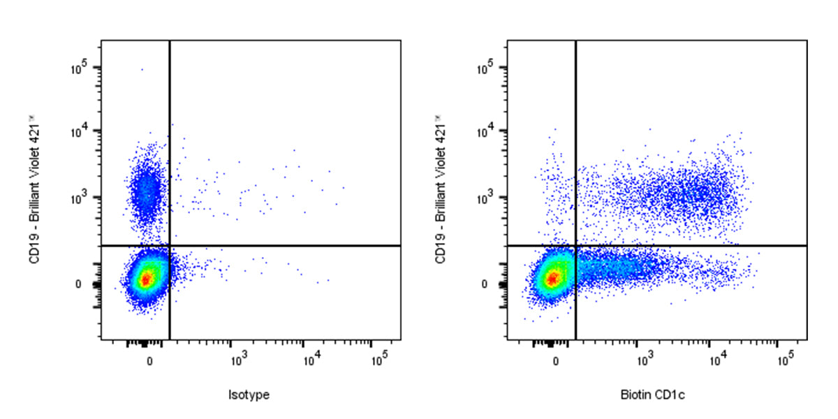 Biotin Mouse Anti-Human CD1c Antibody (L161)