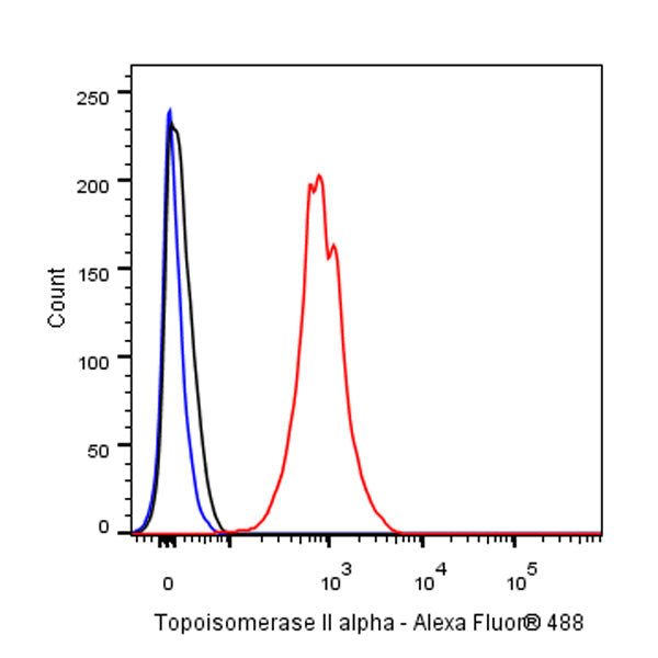 Topoisomerase II alpha Recombinant Rabbit mAb (S-513-7)