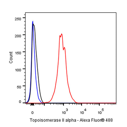 Topoisomerase II alpha Recombinant Rabbit mAb (S-513-7)