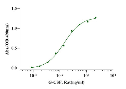 G-CSF Protein, Rat