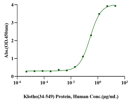 Klotho(34-549) Protein, Human