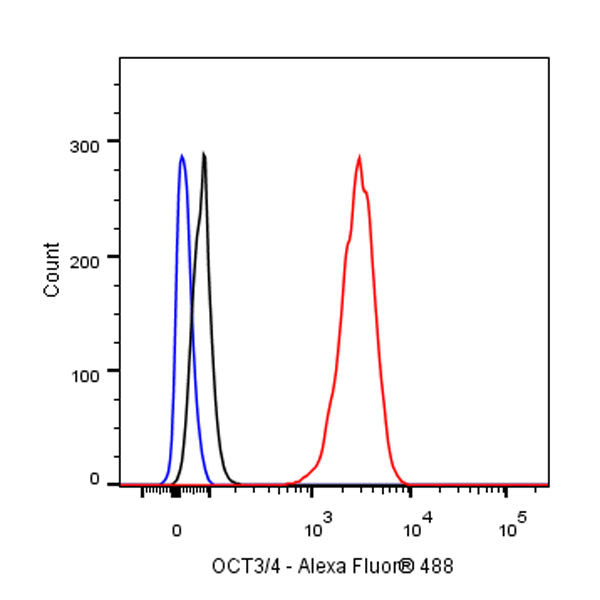 OCT3/4 Recombinant Rabbit mAb (SDT-165-76)