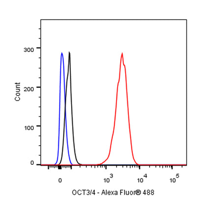 OCT3/4 Recombinant Rabbit mAb (SDT-165-76)