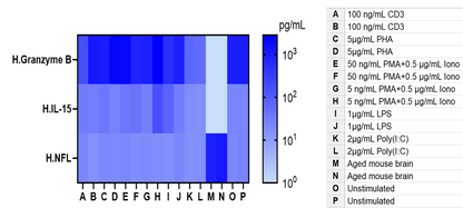 Human Granzyme B Single Plex Assay (适用于Luminex)