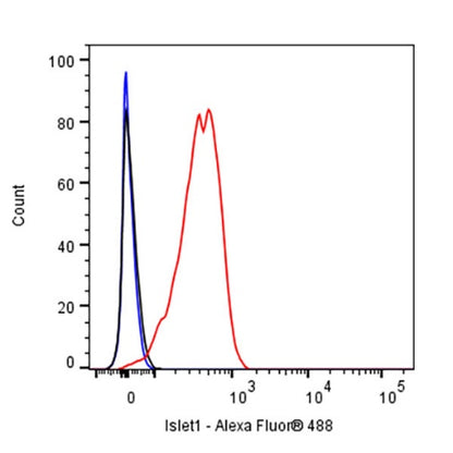 Islet1 Recombinant Rabbit mAb (SDT-2349-17)