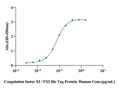 Coagulation factor XI/FXI His Tag Protein, Human