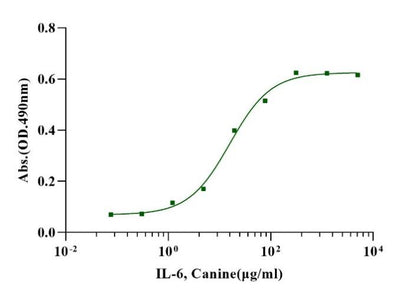IL-6 Protein, Canine